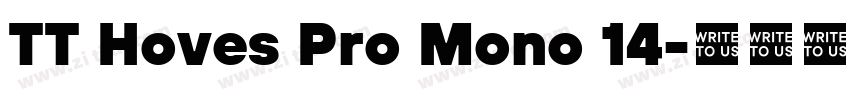 TT Hoves Pro Mono 14字体转换